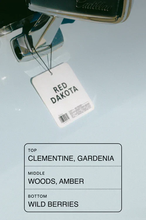 Air Freshener - Image 2
