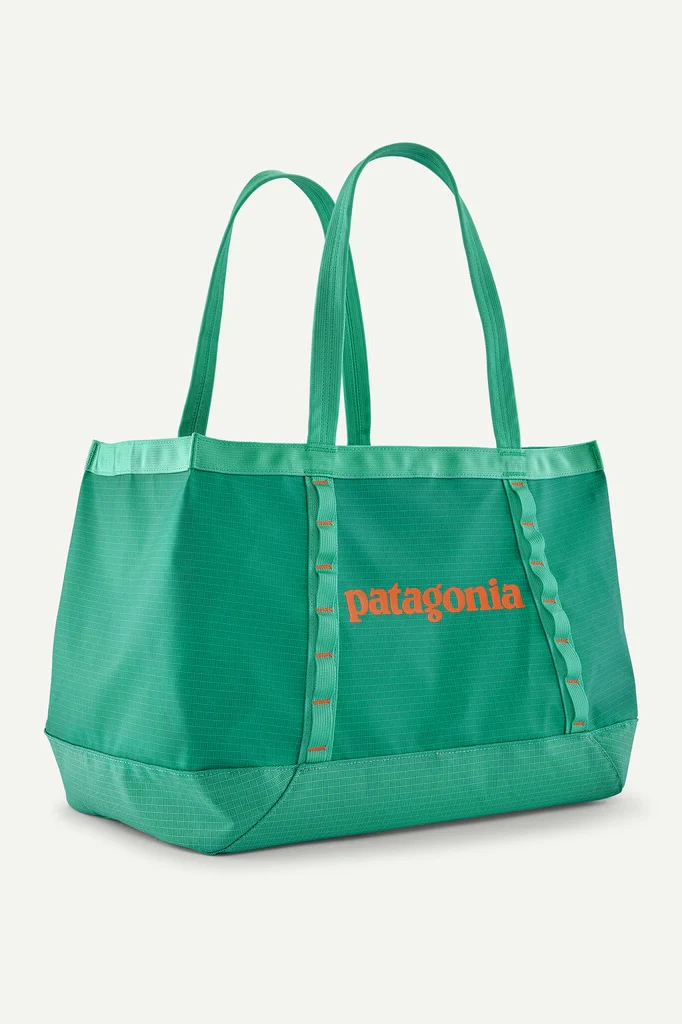Black Hole 25L Tote